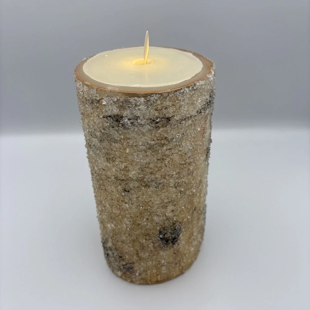 Pottery Barn by L&L Sugared Frosted Birch Flameless Pillar Candle 8